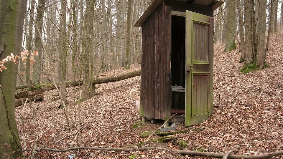 к чему снится уличный туалет. деревенский уличный туалет. уличный туалет.