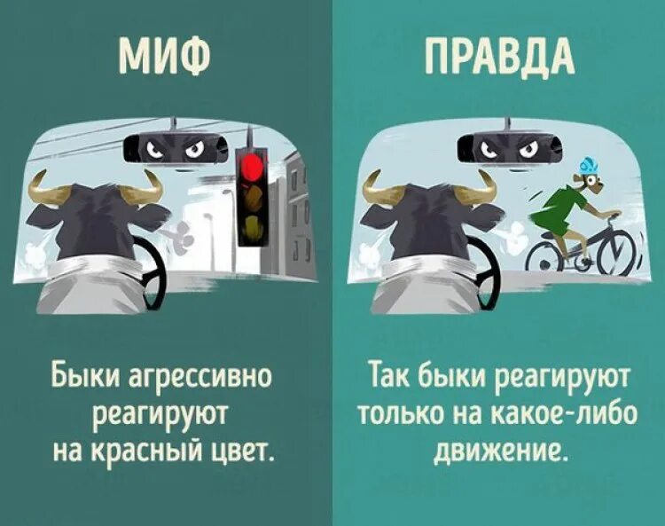 Мифы о животных. Мифы и факты о животных. мифы и реальность про животных. миф и правда животные.