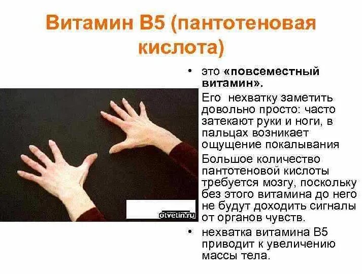 Достоинства и недостатки. Недостаточно пять. Недостаточно пять. Пятифакторная модель менеджмента. Недостаточно пять.
