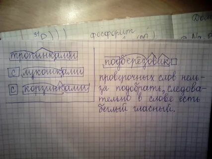 Разбор слова подосиновики