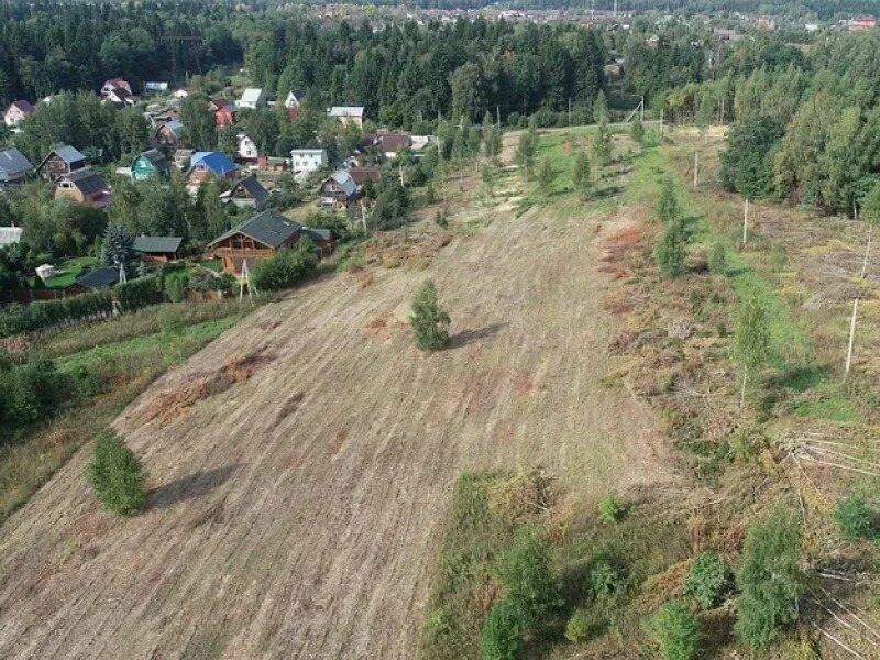Поселок большое буньково. Поселок большое буньково. Поселок большое буньково. Город истра д буньково 38. Поселок большое буньково.