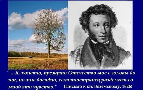 Досадно это