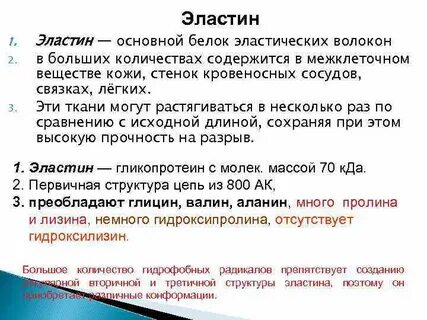 Эластины белки