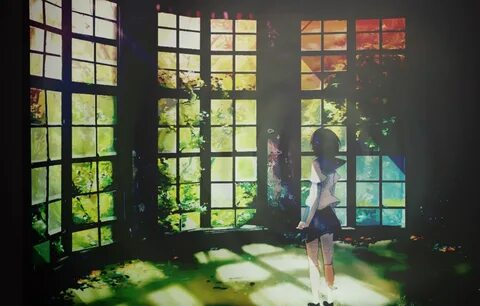 Back window