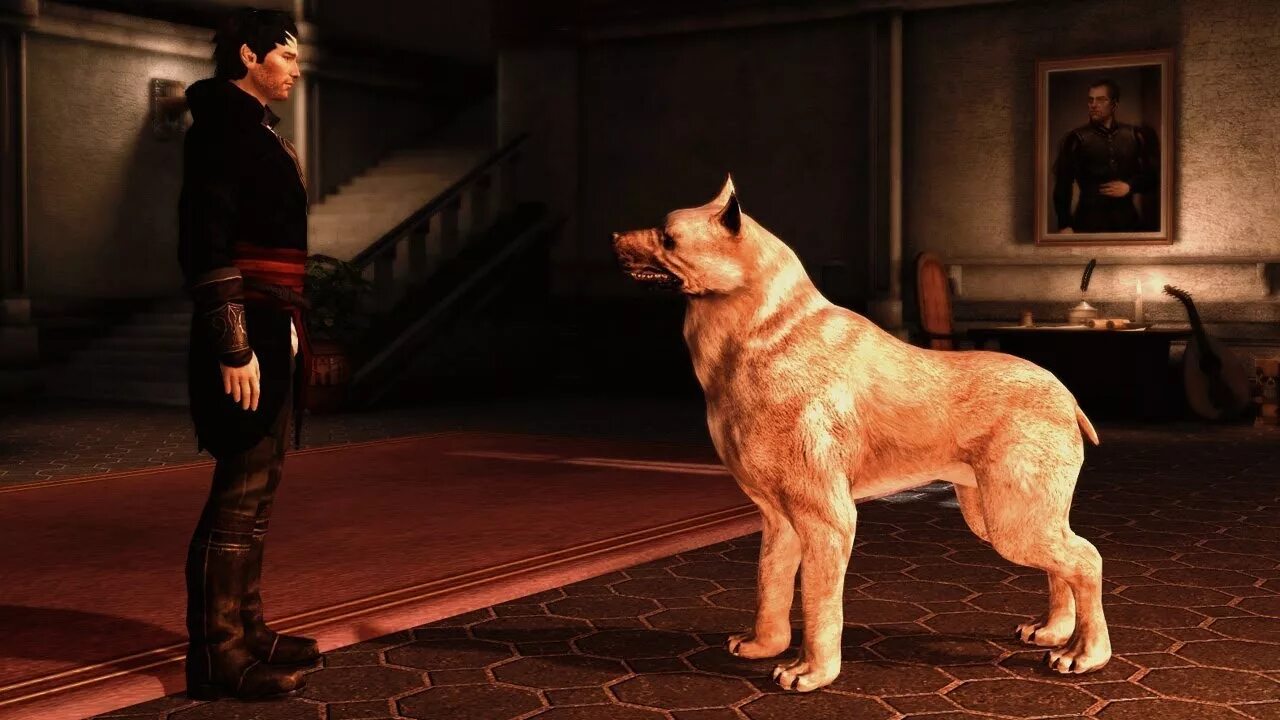 Анималистика в эпоху возрождения. Дао мабари. Собака века 2. Dragon age 2 собака. Собака da.