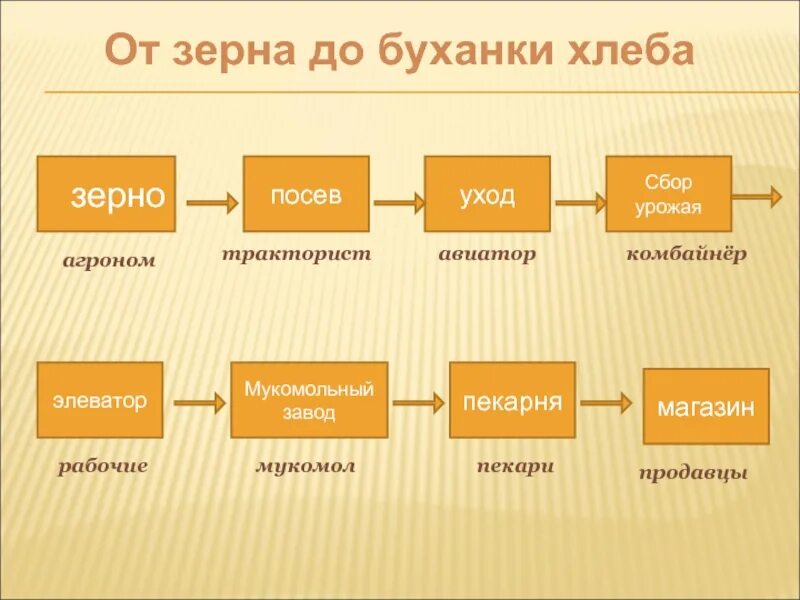 Цепочка производства хлеба. Цепочка от пшеницы до хлеба. Путь хлеба на стол. Цепочка изготовления хлебобулочных изделий.