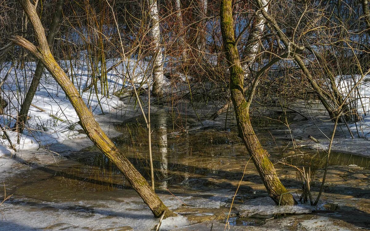 Зачем весной ручьями. Весенние ручьи. Весенний Ручеек.