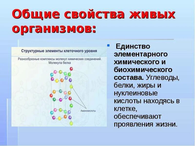 Основной всего живого является. Общие свойства организмов. Общие св ва живых организмов. Основные свойства живых организмов. Общие свойства живого.