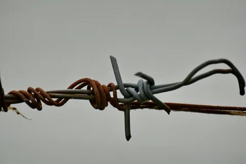 Покажи проволоку