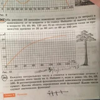 Высота сосны в метрах