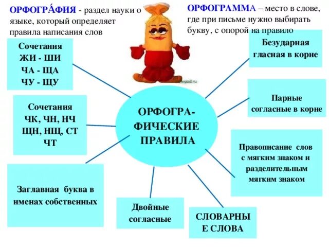 Правописание слова представить. Орыографические правил. Схемы орфограмм. 9 Правил орфографии. Правила орфографии начальная школа.