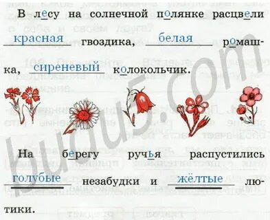 Окружающий мир 2 класс канакина рабочая
