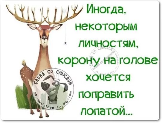 Корона жмет на дзене. Снимите корону с головы. шутки про корону на голове. смешная корона на голове. корона на голове прикол.