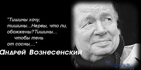 Бьют женщину вознесенский