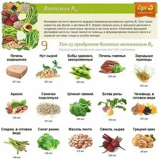 Продукты богатые витамином в 1