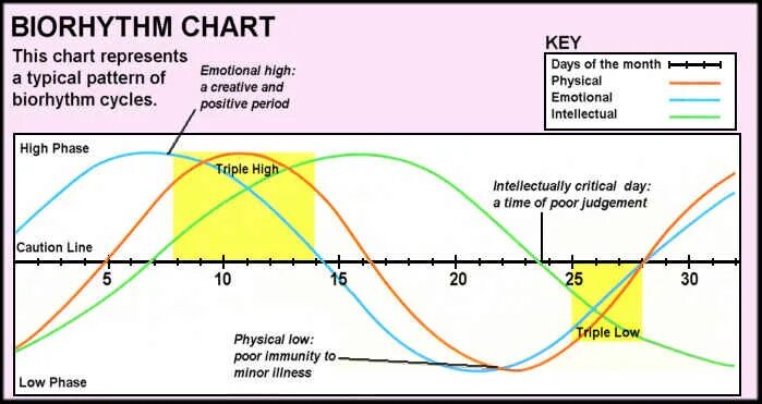 Day chart