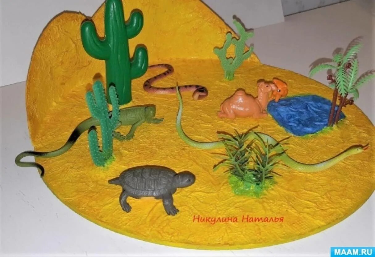 Макет пустыни 4 класс. Пустыня макет в садик. Макет пустыни 4 класс. Макет пустыня для детского сада. Макеты для природного уголка.