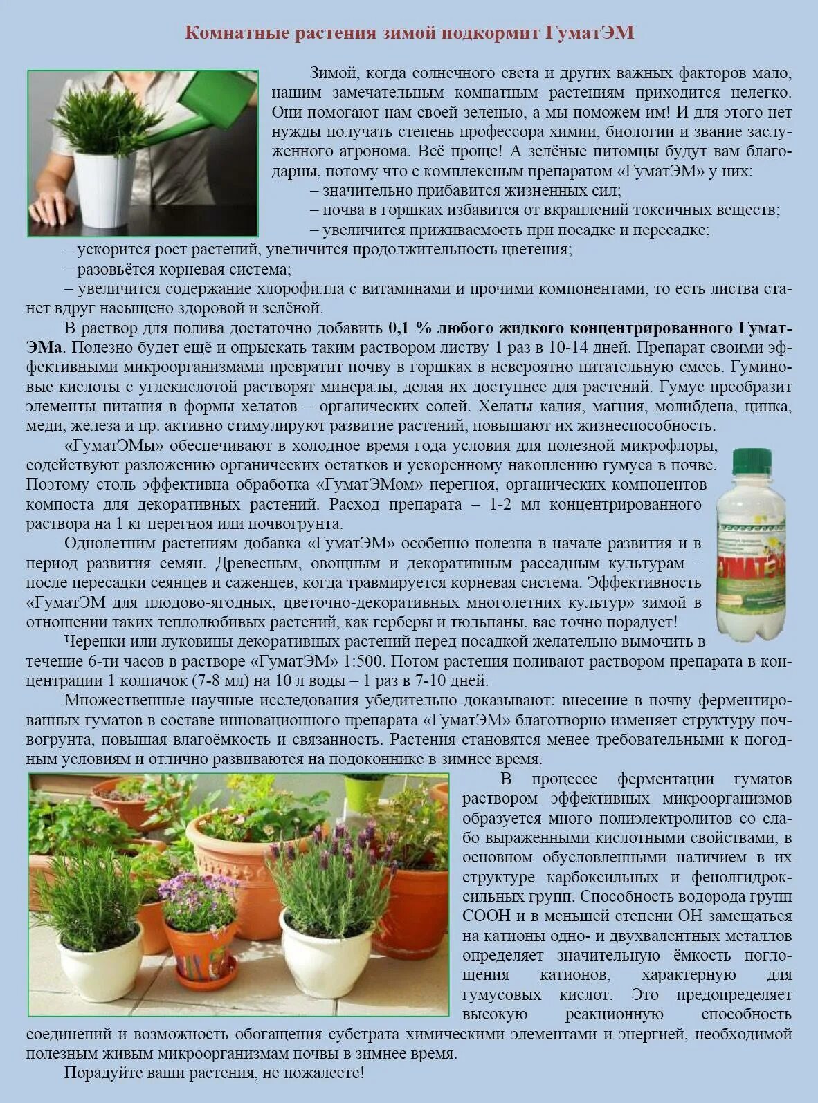 Ядовитые домашние растения. Цветущие комнатные растения. Рецепты для комнатных растений. Подкармливание комнатных растений. Рецепты для комнатных растений.