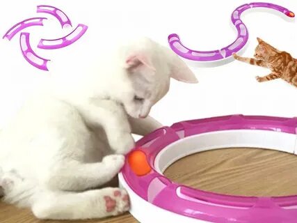 Игры для котиков рыбки