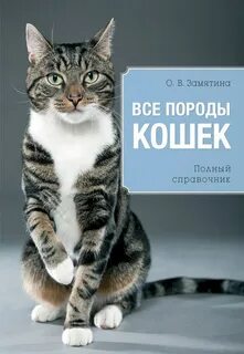 Книг порода