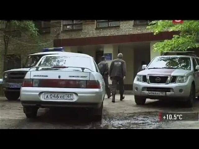 Волчьи следы зимой. Жена холодова в сериале след. След егерь и волки. Егерь сериал. Лапы волка.