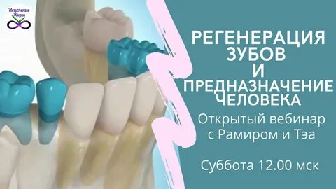 Мощная регенерация
