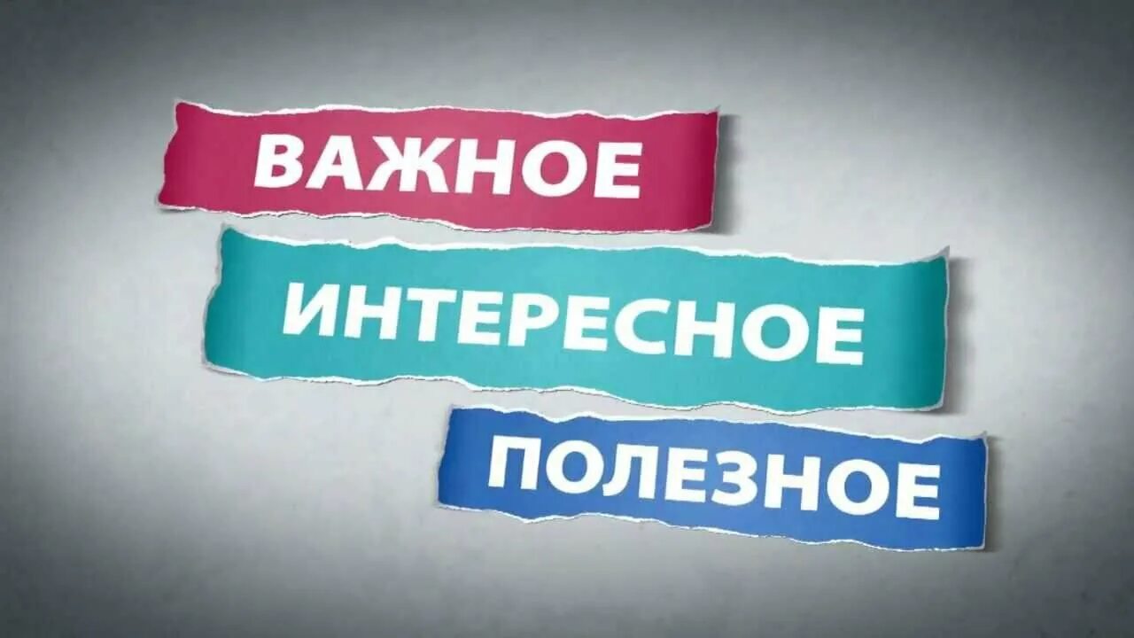 В мире полезной информации