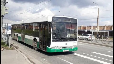 77 автобус спб