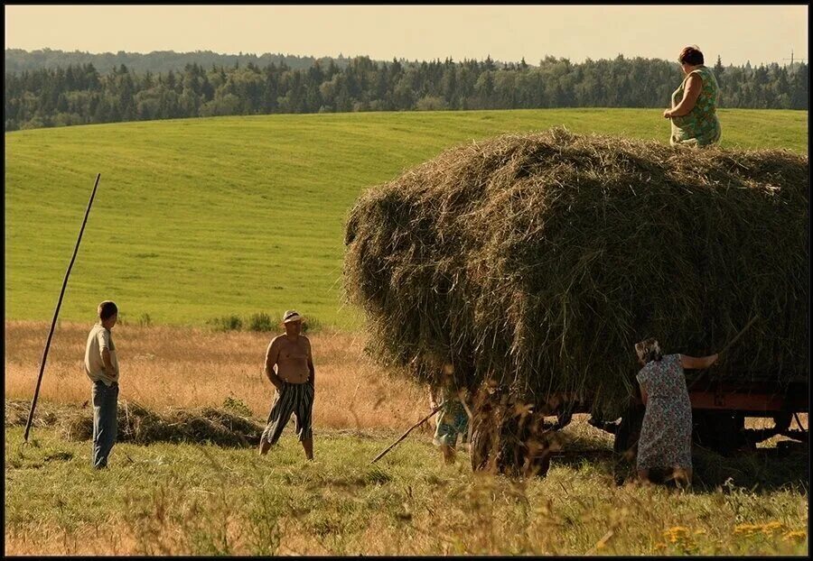 Жители сельской местности. Деревенская жизнь. Деревенские люди. Жизнь в современной деревне.