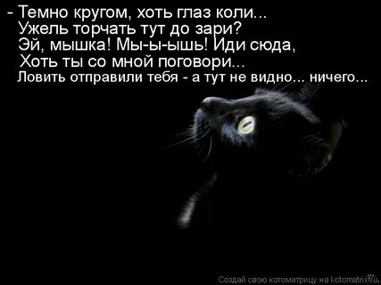Хоть глаз