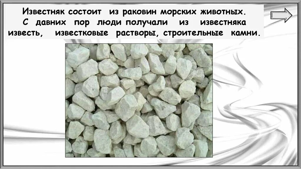 Какой камень состоит из раковин морских животных. Из чего состоит известняк. известняк состоит из раковин морских животных. известняк состоит из раковин. известь состоит из.