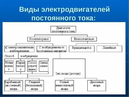 Как устроена ее