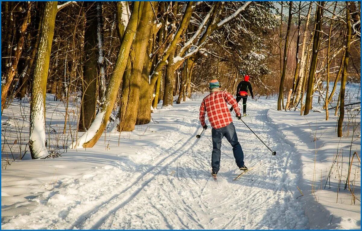 Прогулка в 5 км. На лыжах в лесу. прогулка на лыжах. катание на лыжах в лесу. прогулка в зимнем лесу.