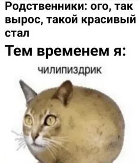 Гавкошмык