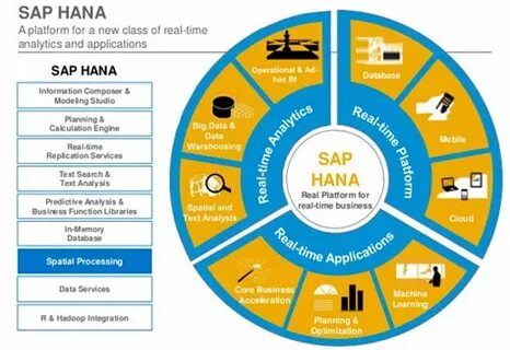 Sap data