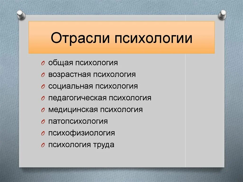 Фундаментальные и прикладные отрасли психологии. Фундаментальные отрасли современной психологии. Перечислите основные отрасли психологии:. Перечислите отрасли современной психологии. Отрасли изучения психологии