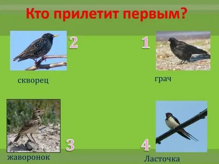 1 прилетают