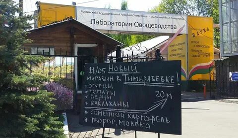 Мсха питомник