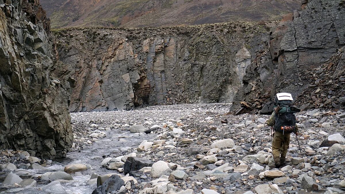 В ущелье лежа уж долго. "песня о соколе". В ущелье лежа уж долго. Кастамону каньон. Выборг каньон.