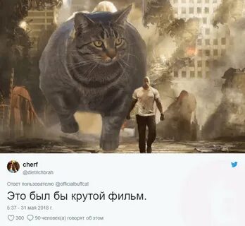 Качай кота