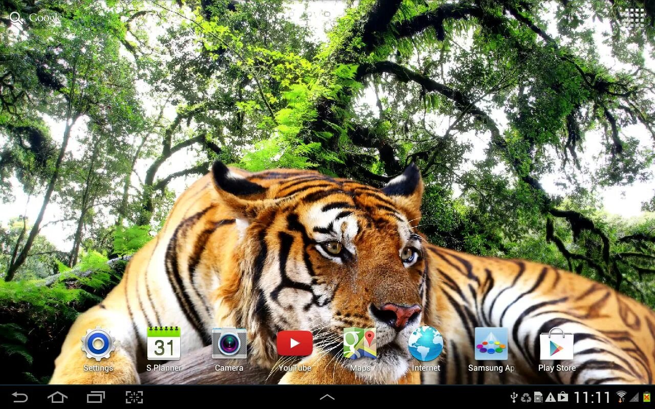 Включи живые животные. Тигр жив. Живые обои тигры. Живые обои на андроид тигр. Обои тигр на телефон андроид.