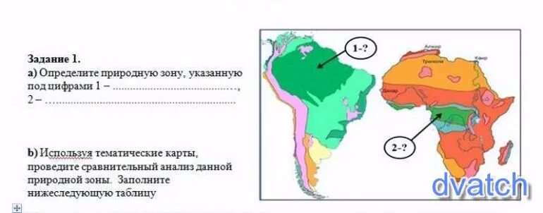 Природные зоны обозначенная цифрой 1. Природные зоны с цифрами. Карта тематических зон. Определить природную зону Мальдив. В каких природных зонах расположен нижний новгород