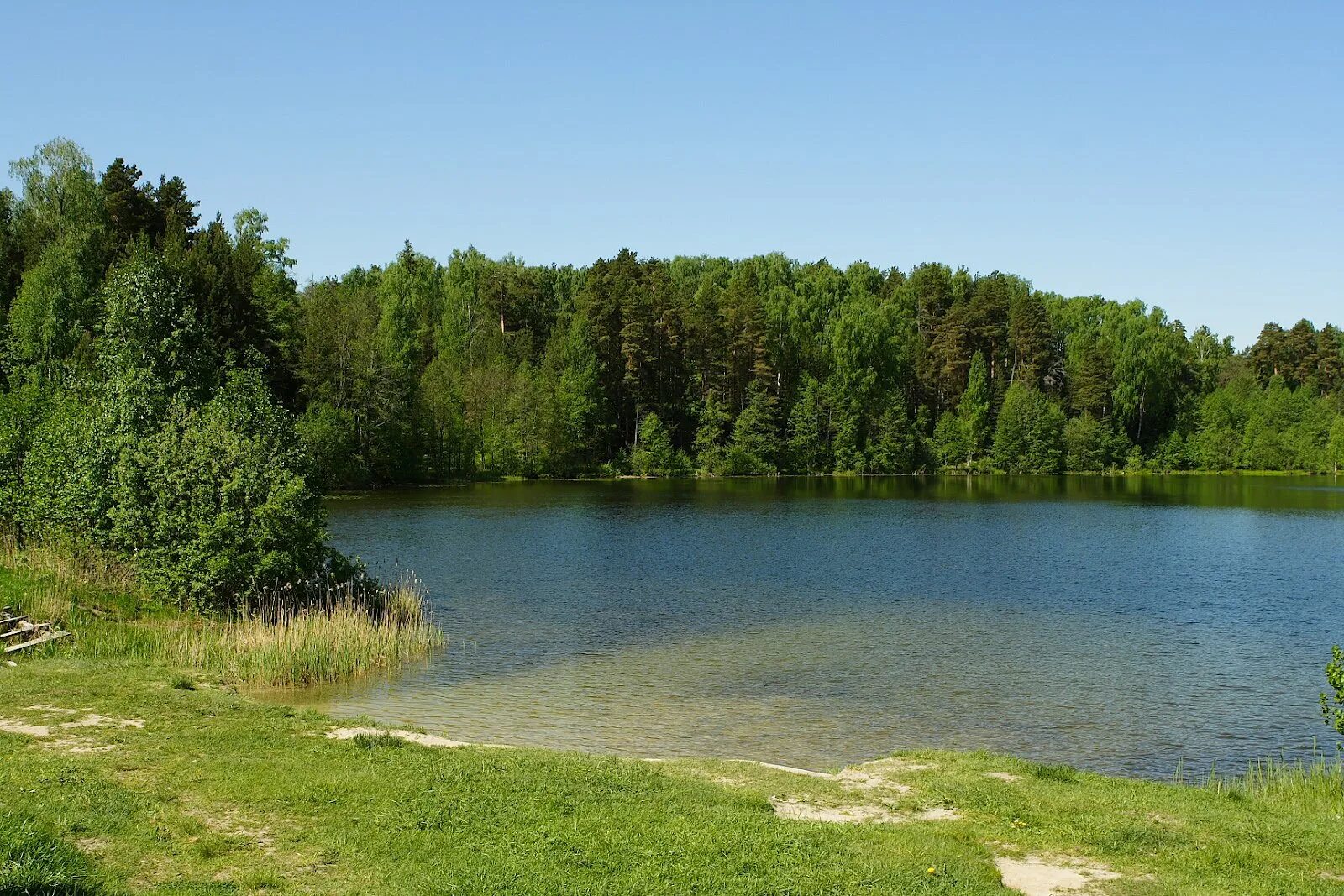 село вад озеро. озеро в воротынском районе нижегородской области. чижковское озеро богородский. деревня жедрино дальнеконстантиновский район. озеро хальзовское нижний новгород.