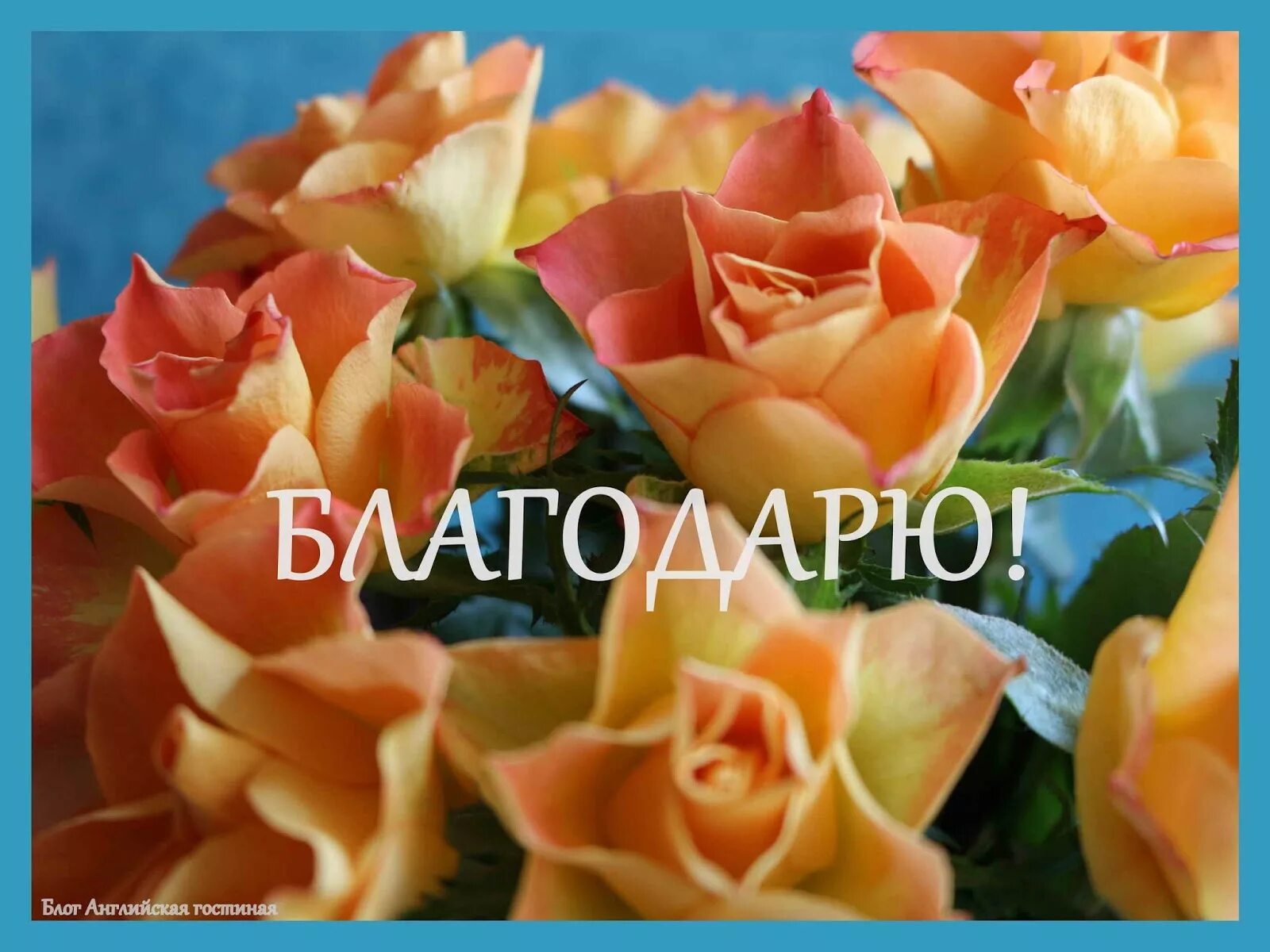 Фото спасибо. Благодарю. Благодарю картинки. Благодарю вас. Благодарю вас картинки.