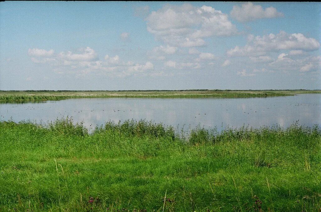 Старогорносталево Здвинского района. Озеро Урюм Здвинский район. Верх-Каргат Здвинский район. Городище Новосибирская область Здвинский район. Алексеевка здвинского района новосибирской области