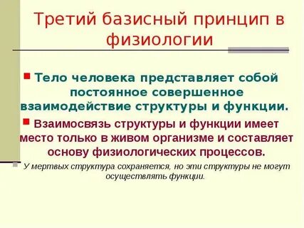 Функция физиологии