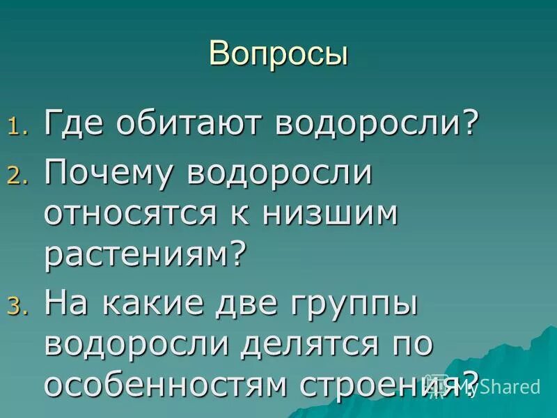 Водоросли относятся к животным. Где обитают водоросли. На какие группы делятся водоросли. Почему водоросли относят к низшим растениям 6 класс биология ответы.