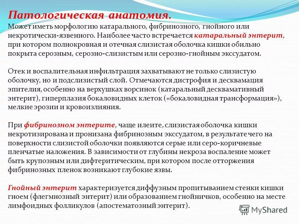 Энтерит тест. Энтерит тест