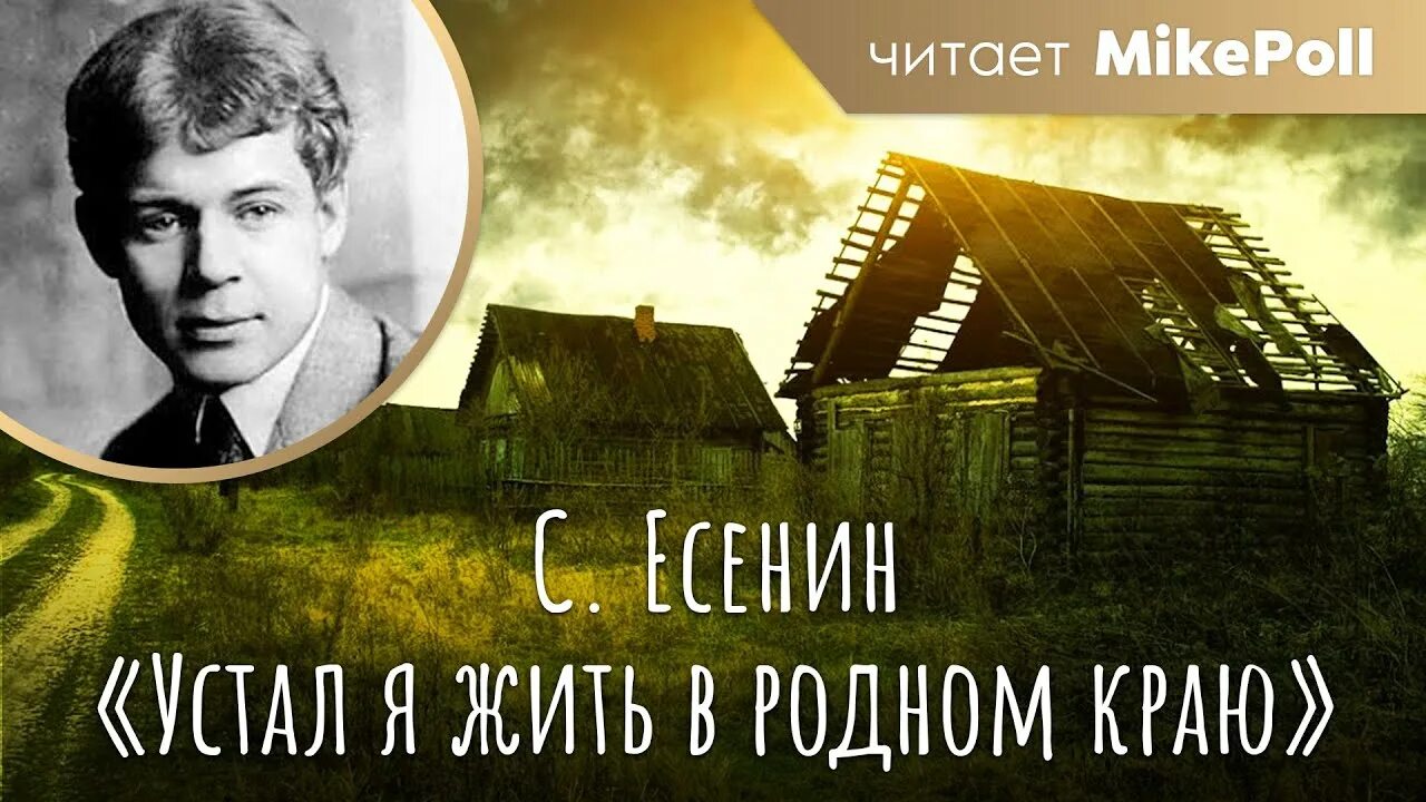 Есенин устал я жить в родном. Есенин устал жить в родном краю. Устал я жить в родном краю Есенин.