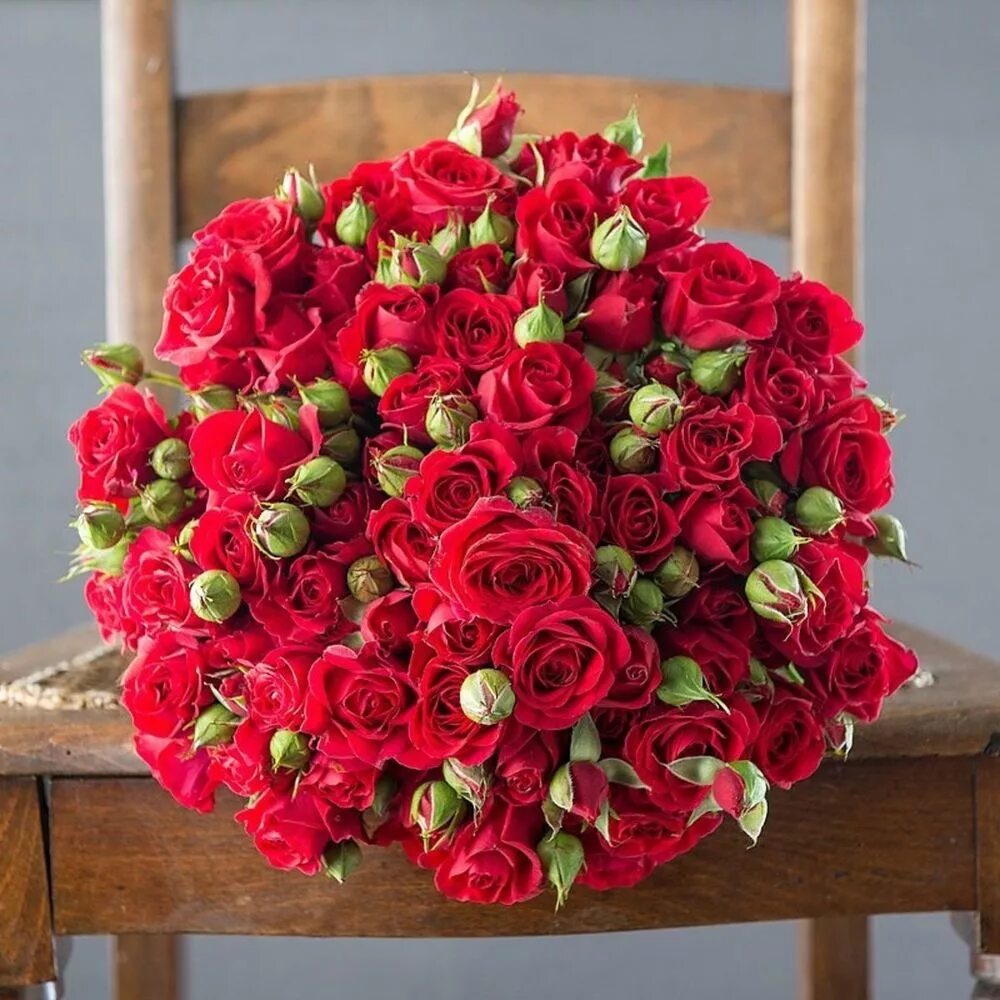 Красные кустовые розы. 9 Кустовых роз марун. Букет шикарный.